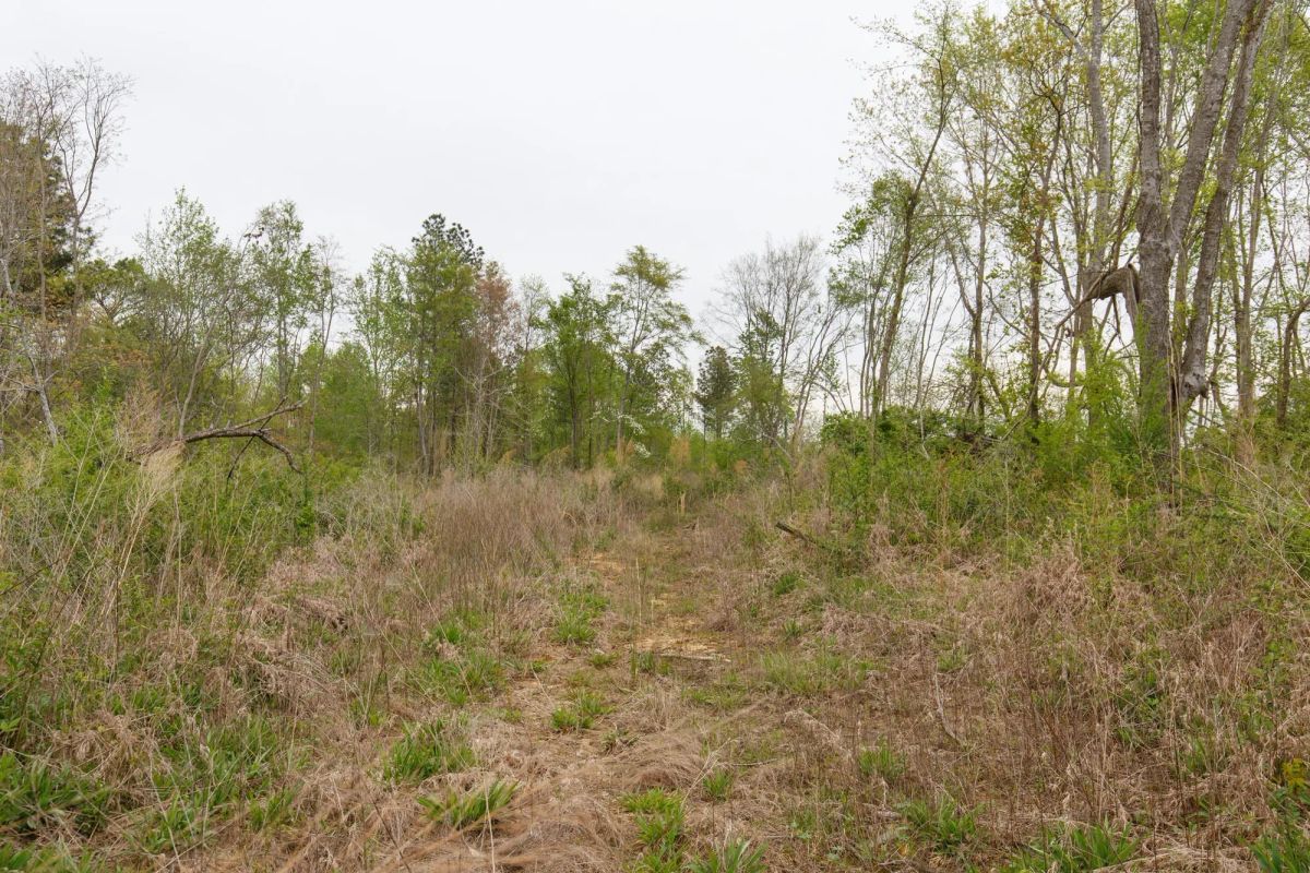 Twin Rivers Tract 23 - Image 3
