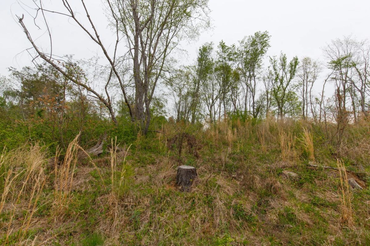 Decorative background for Twin Rivers Tract 23 image 5