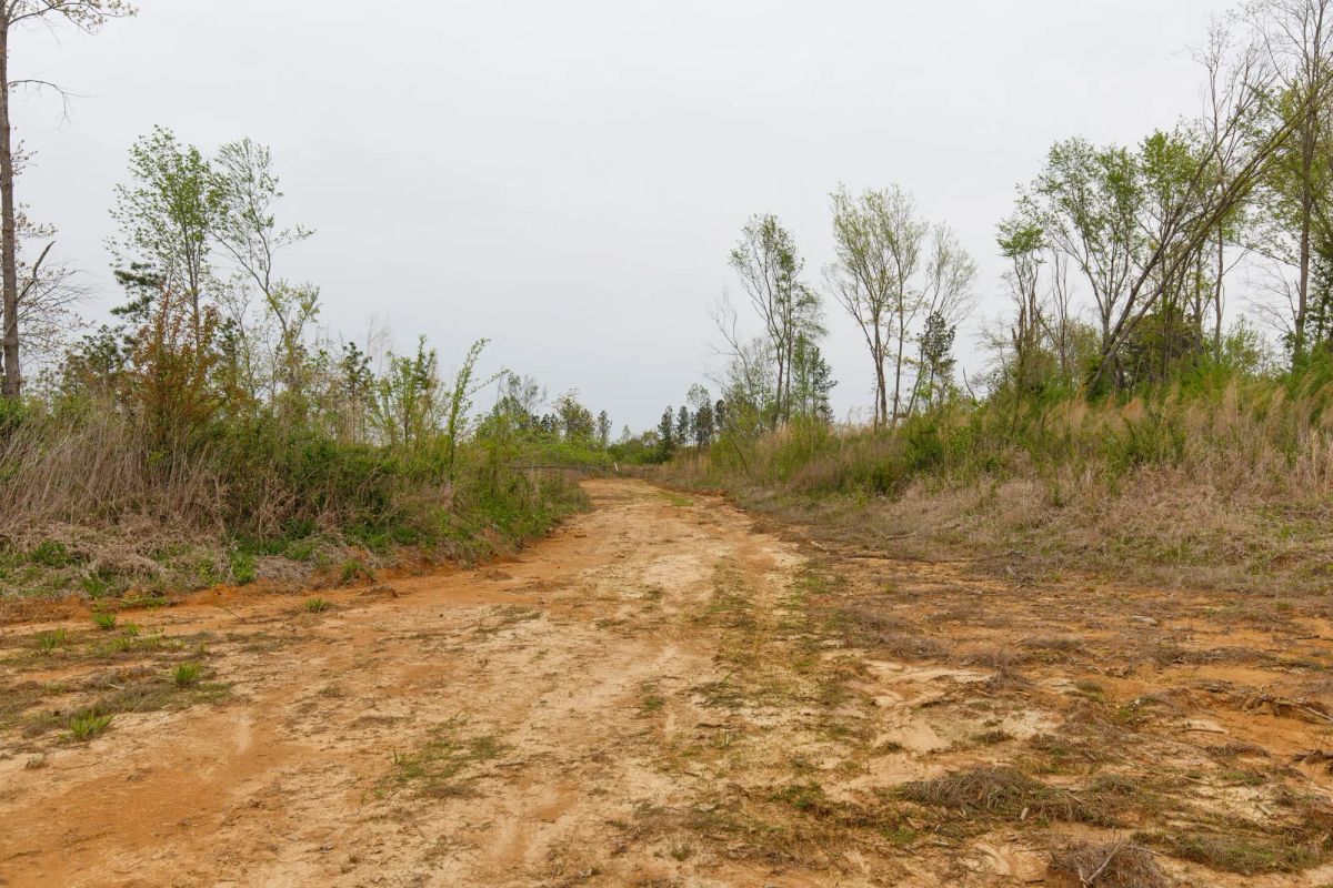 Decorative background for Twin Rivers Tract 23 image 7