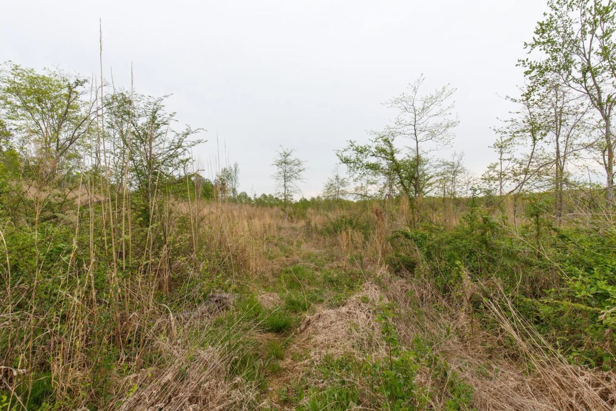 Decorative background for Twin Rivers Tract 23 image 8