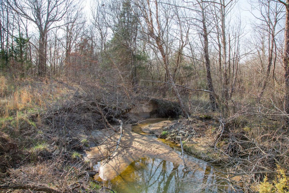 Decorative background for Eufaula Cove Tract 1 image 5