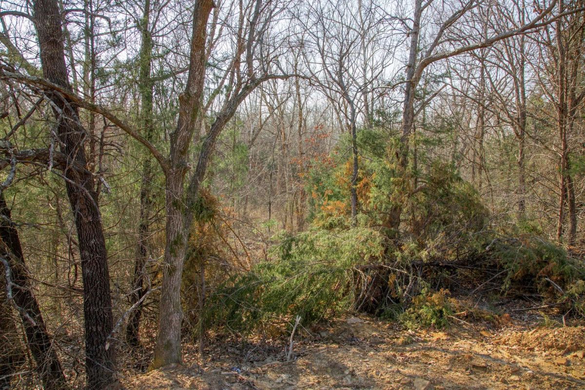 Decorative background for Eufaula Cove Tract 1 image 8
