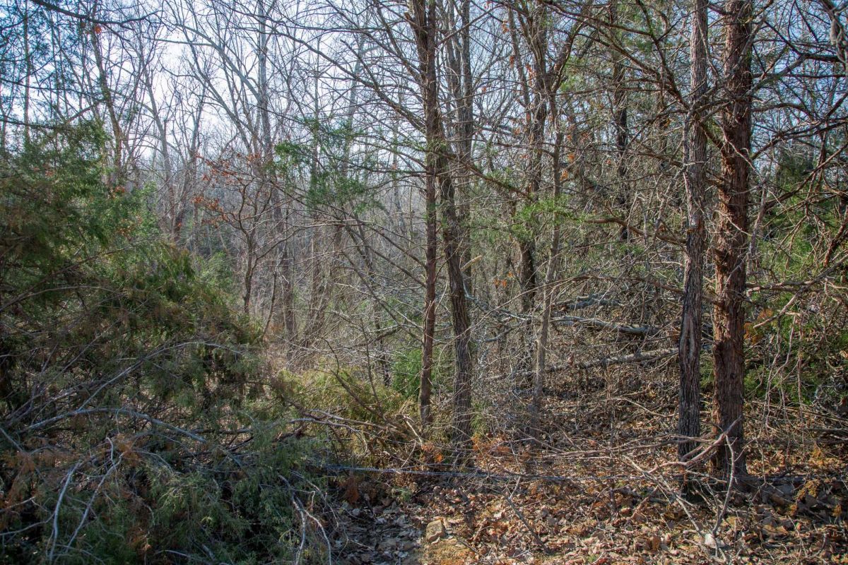 Decorative background for Eufaula Cove Tract 1 image 9