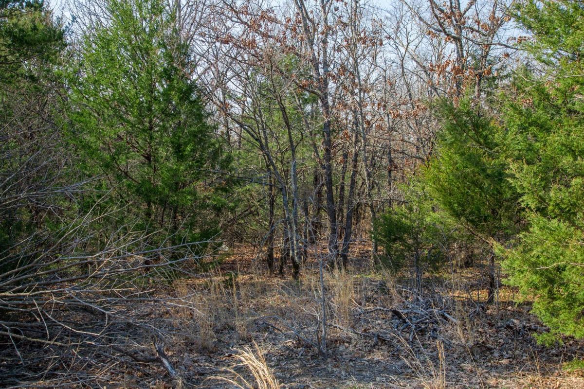 Decorative background for Eufaula Cove Tract 1 image 11