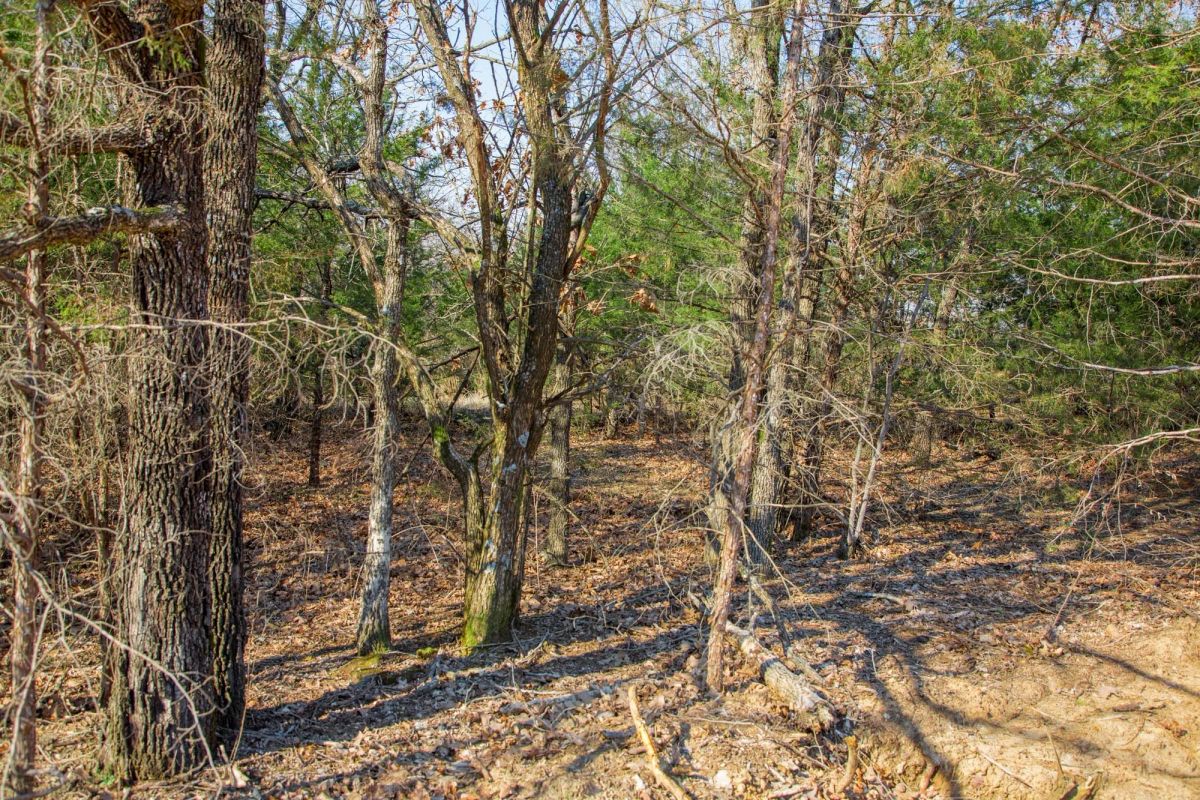 Decorative background for Eufaula Cove Tract 1 image 12