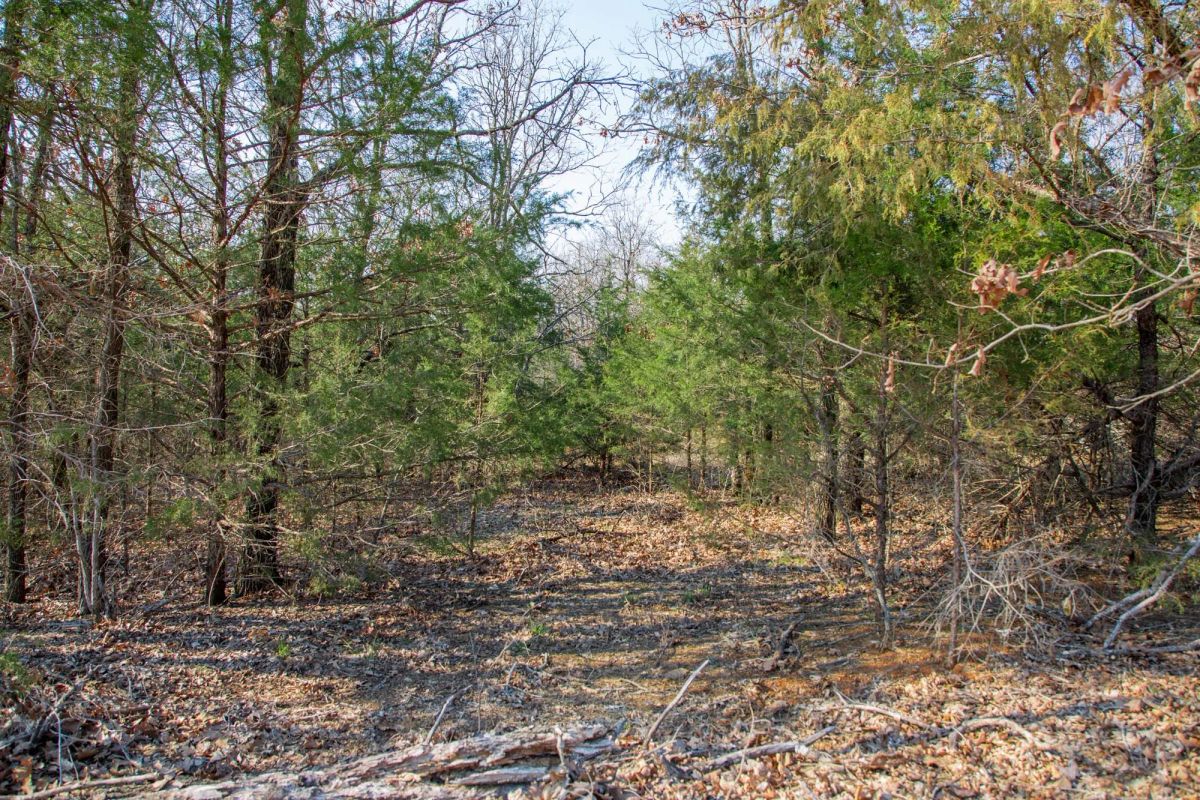 Decorative background for Eufaula Cove Tract 1 image 13
