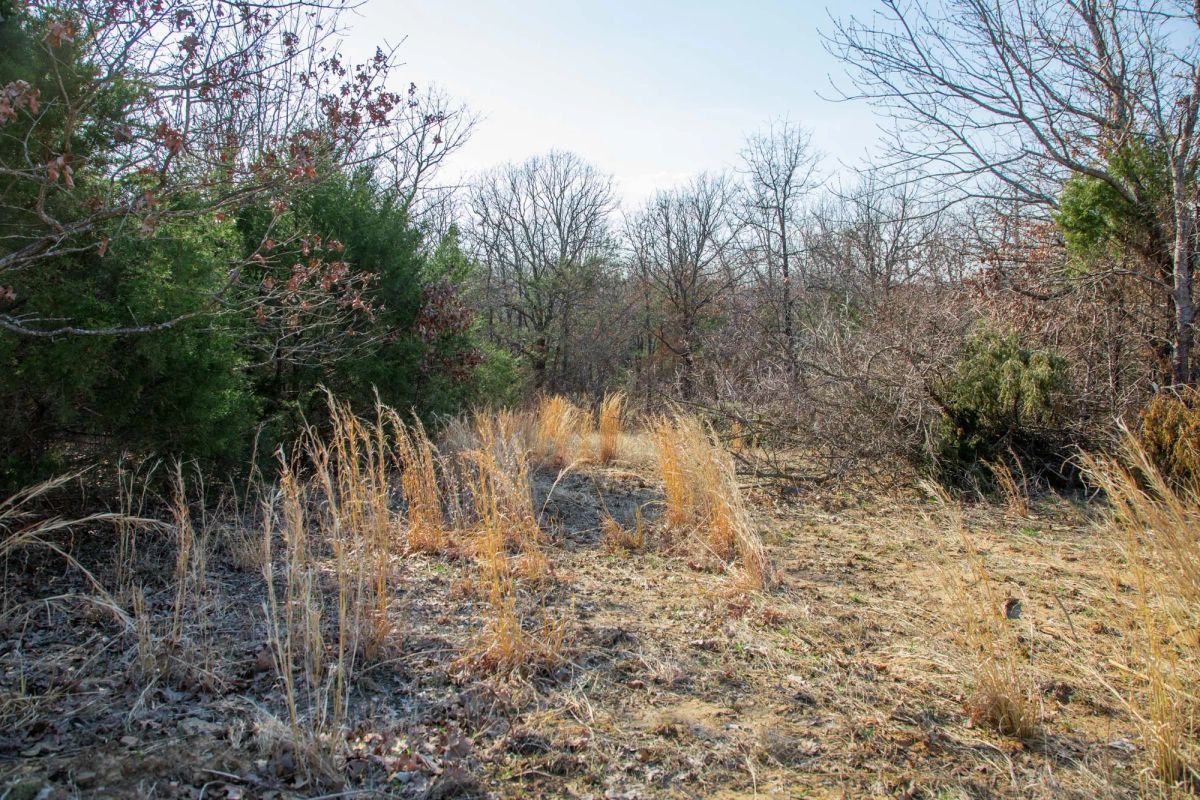 Decorative background for Eufaula Cove Tract 1 image 14