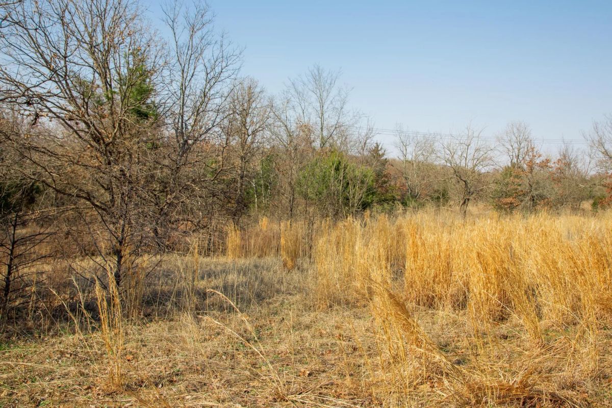 Decorative background for Eufaula Cove Tract 1 image 15