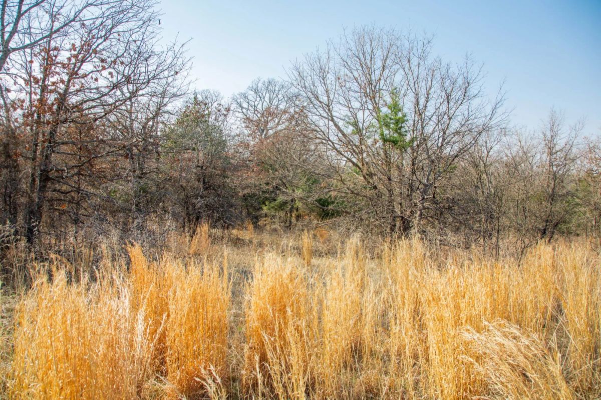 Decorative background for Eufaula Cove Tract 1 image 16