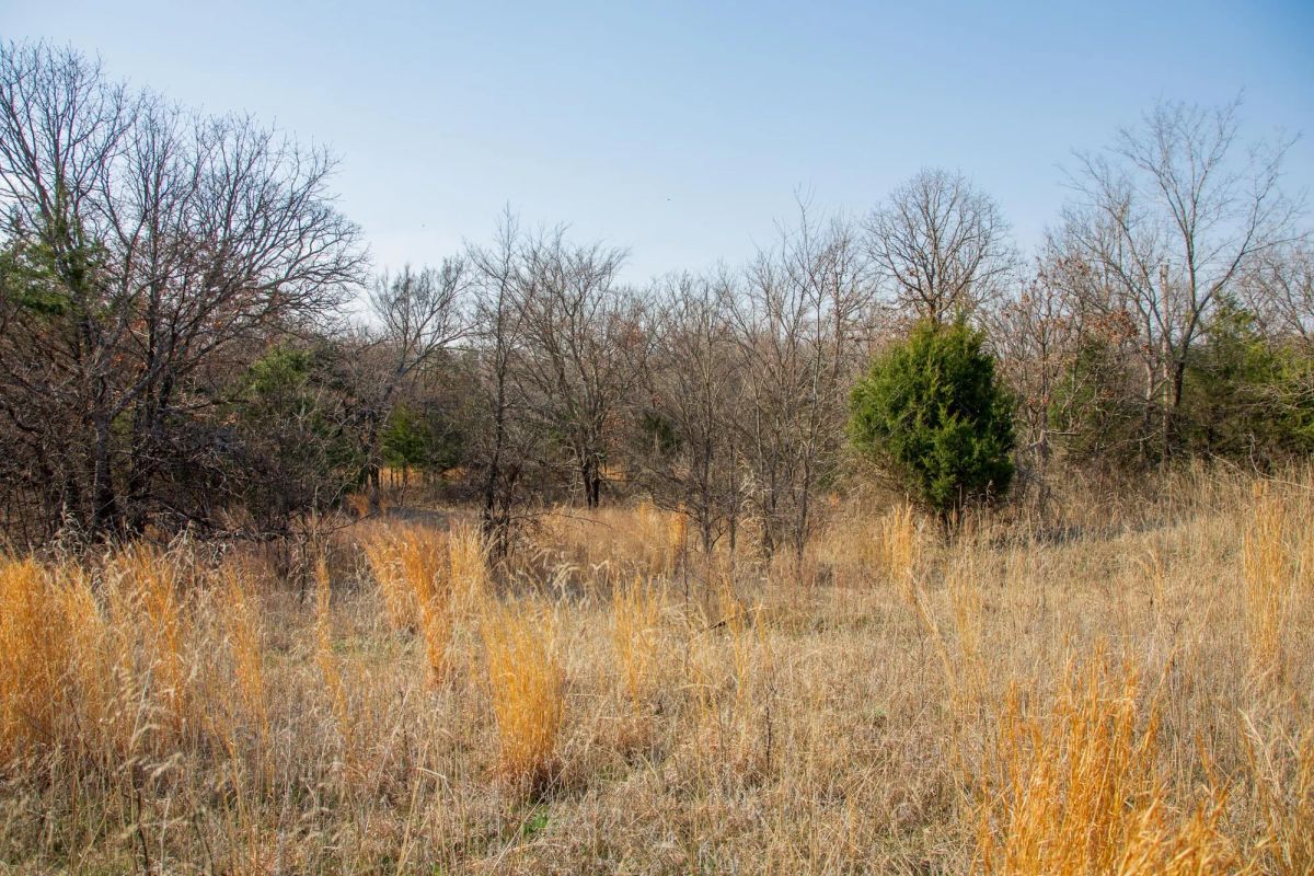 Decorative background for Eufaula Cove Tract 1 image 17