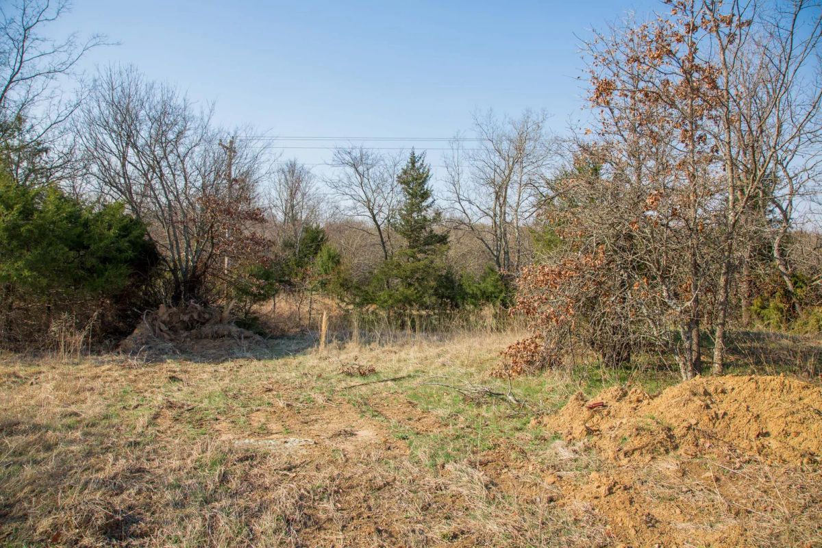 Decorative background for Eufaula Cove Tract 1 image 18