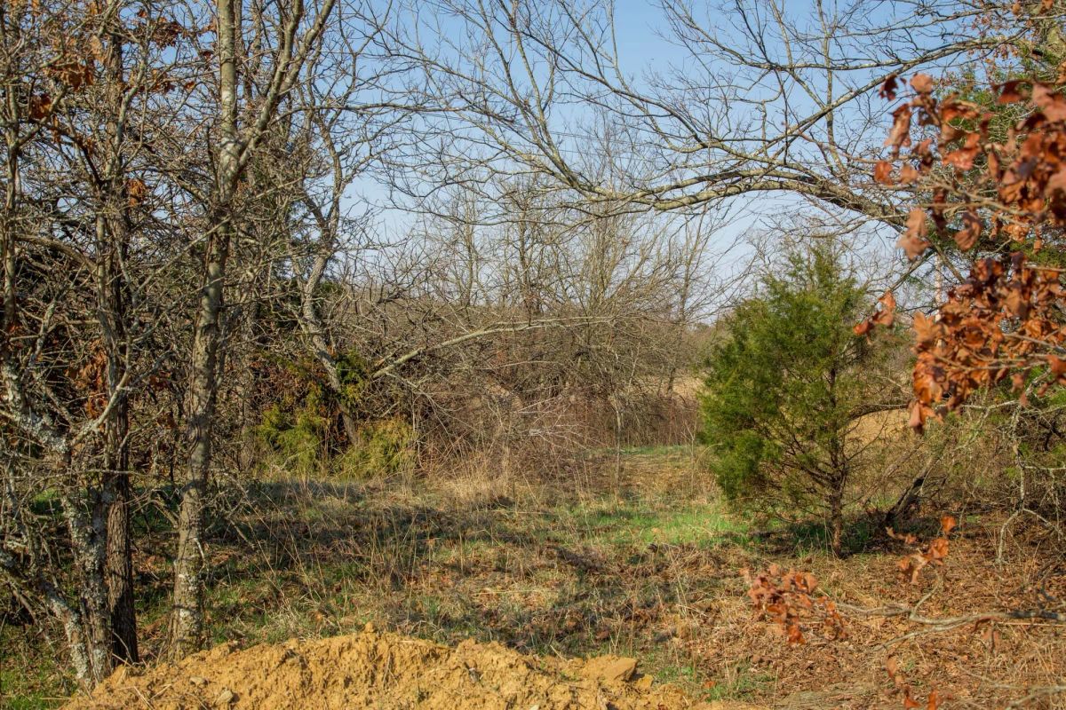 Decorative background for Eufaula Cove Tract 1 image 19