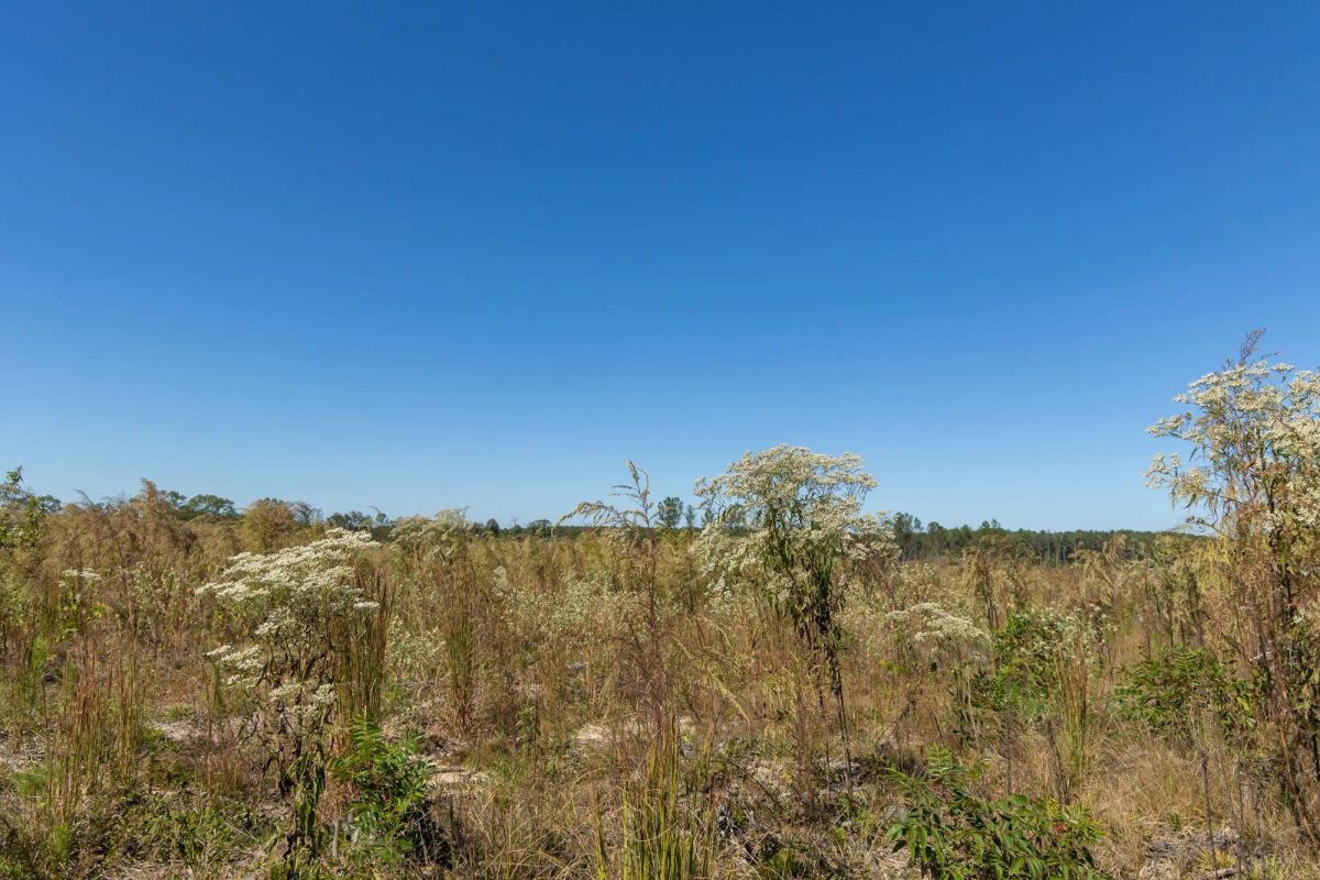 Decorative background for Meyer’s Ridge Tract 7 image 6