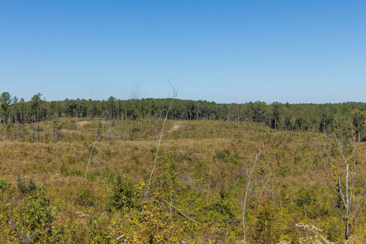 Decorative background for Meyer’s Ridge Tract 7 image 8