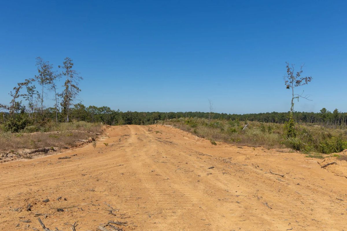 Decorative background for Meyer’s Ridge Tract 7 image 14