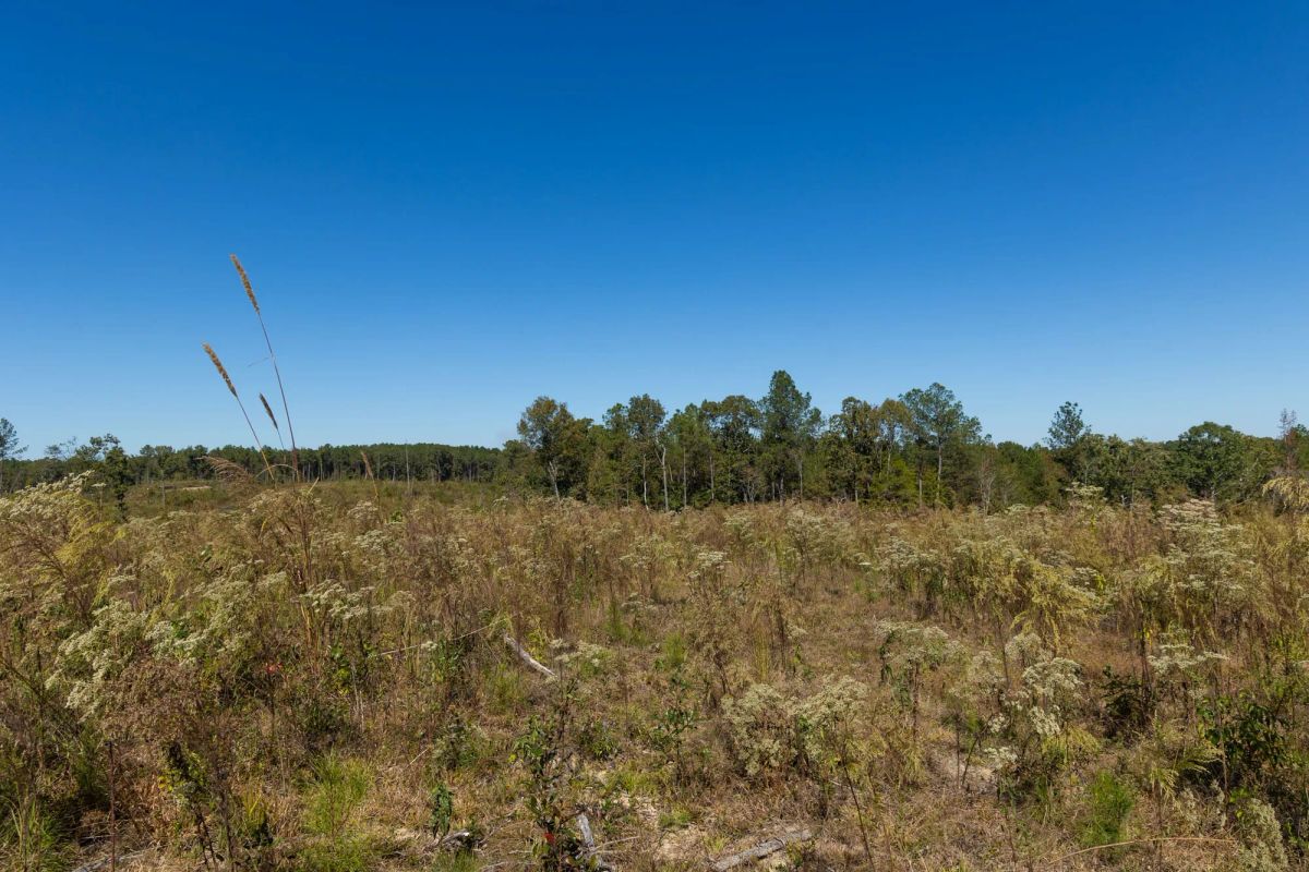 Decorative background for Meyer’s Ridge Tract 7 image 15