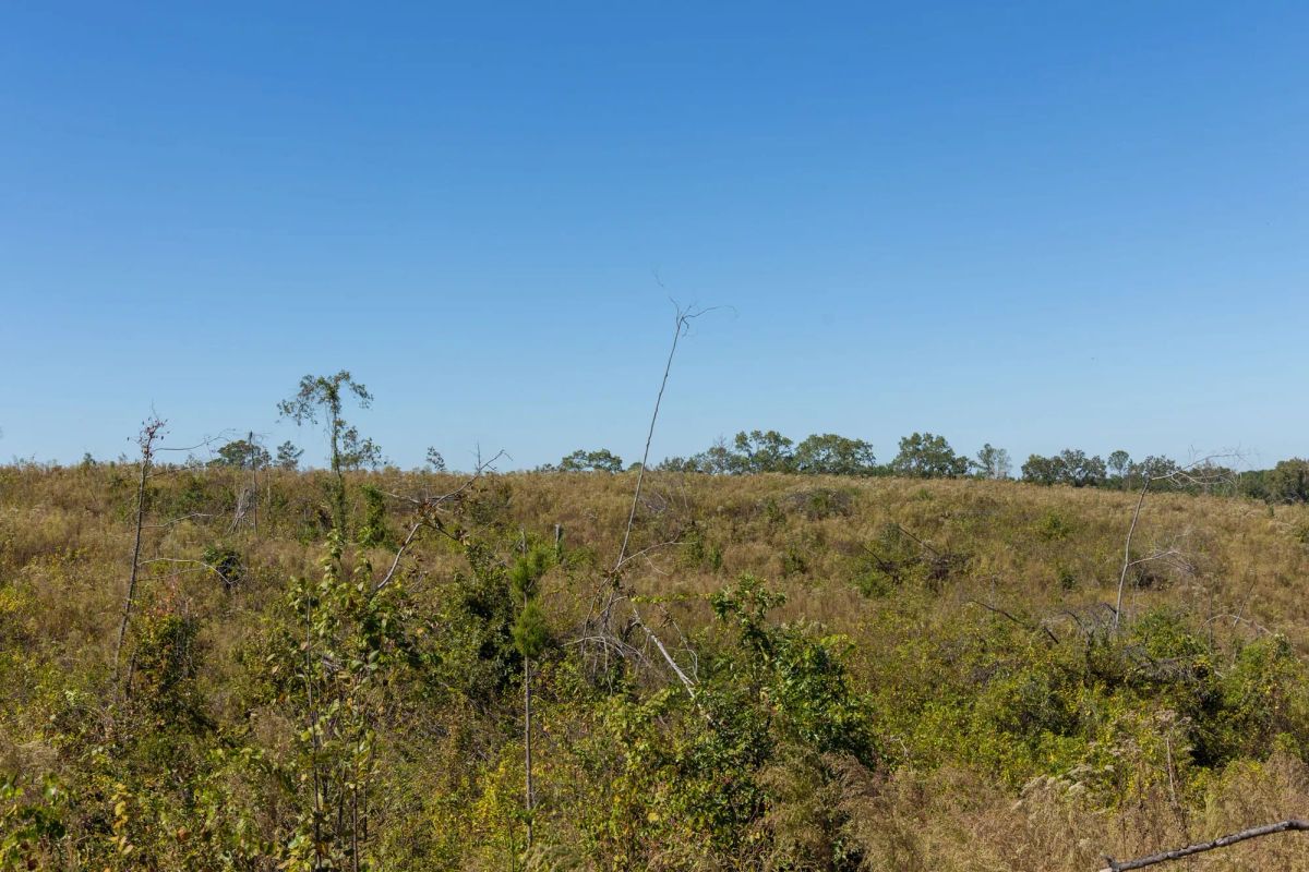 Decorative background for Meyer’s Ridge Tract 7 image 16