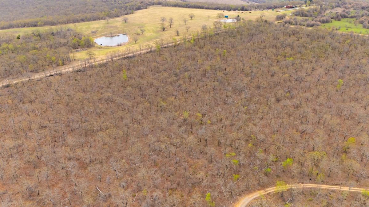 JLH Estates Tract 8 - Main image