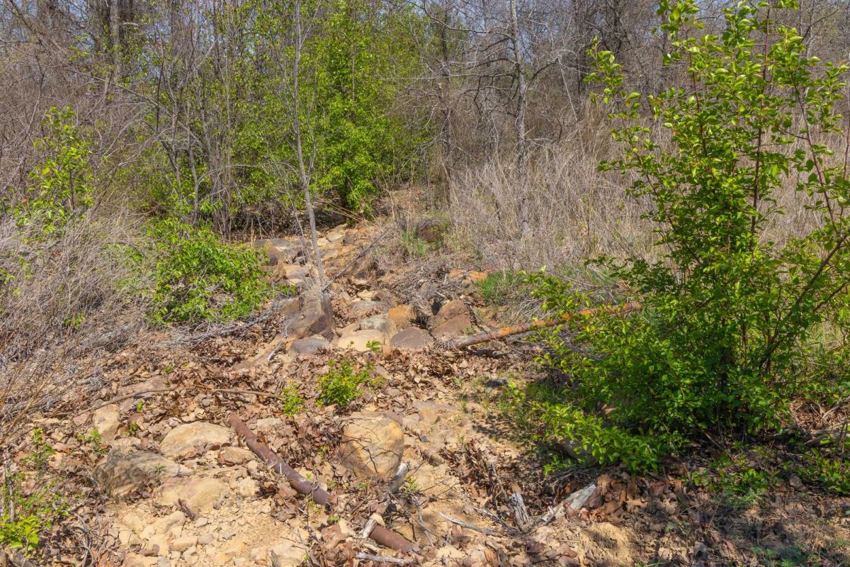 JLH Estates Tract 8 - Image 2