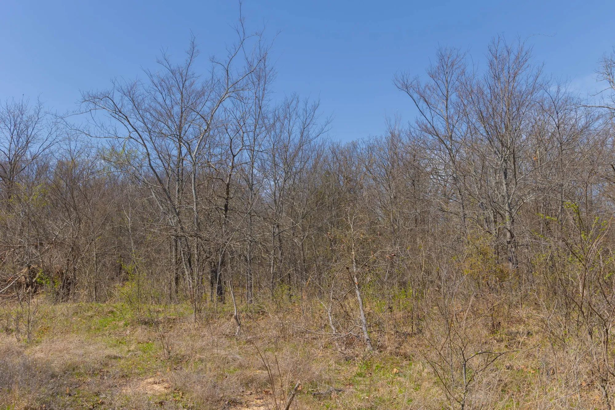 JLH Estates Tract 8 in Okfuskee County, OK