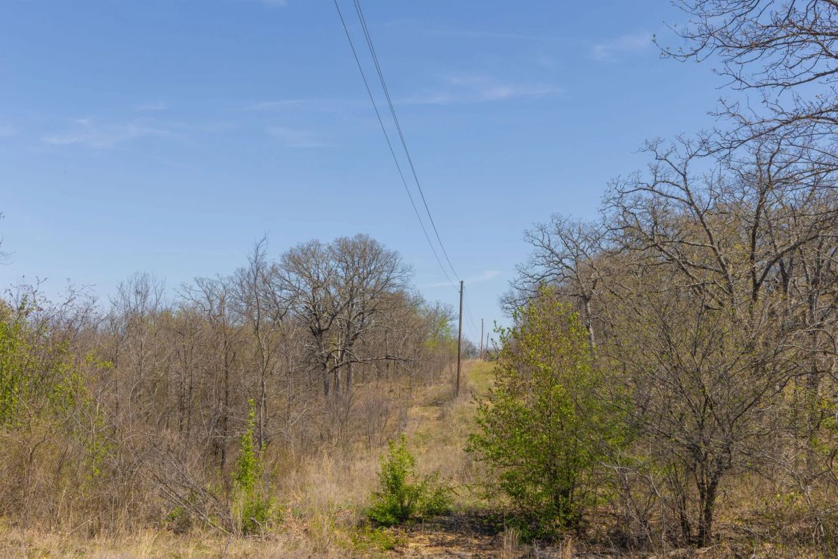 Decorative background for JLH Estates Tract 8 image 8