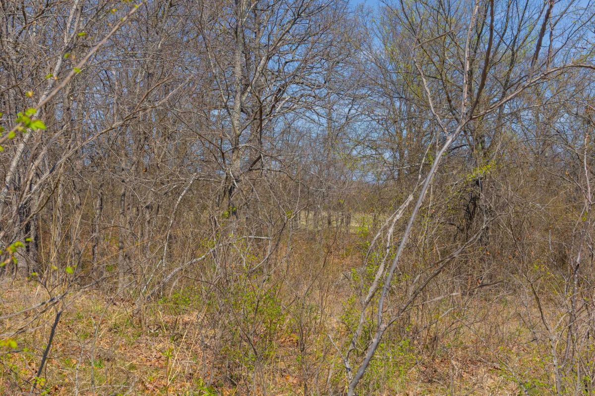 Decorative background for JLH Estates Tract 8 image 10