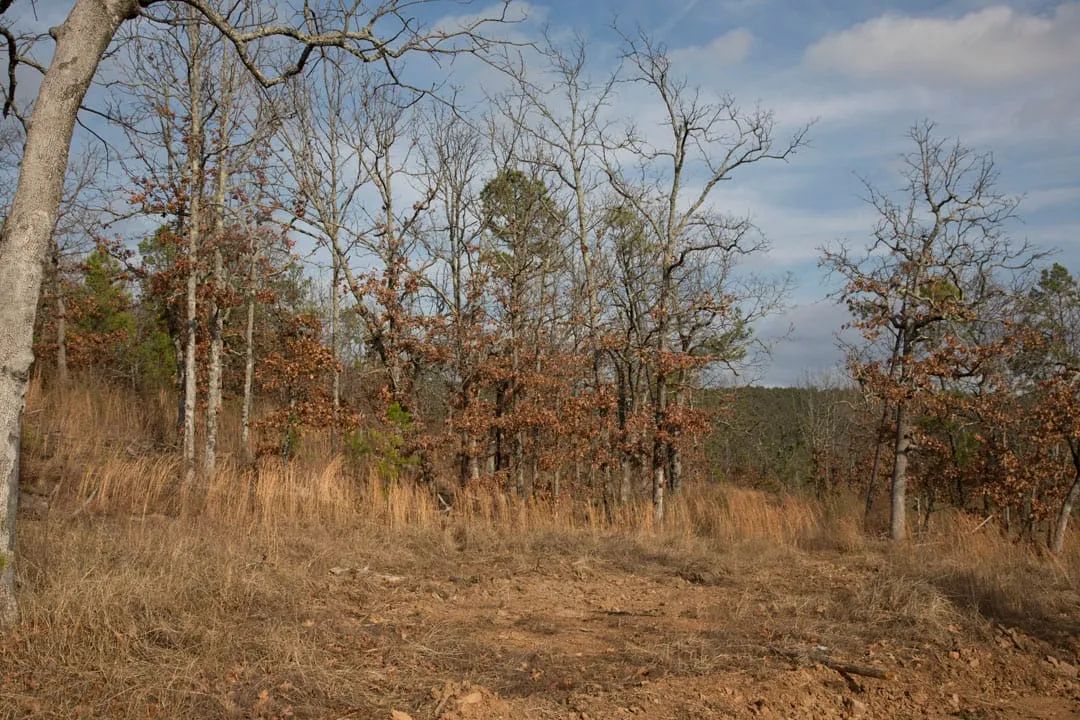 Stone Creek Phase III Tract 90 - Image 2