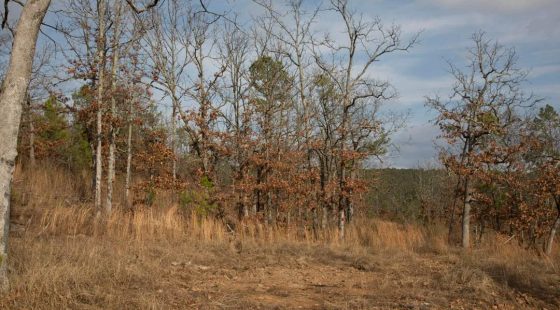 Stone Creek Phase III Tract 90 in Latimer County, OK