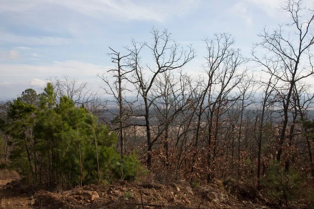 Decorative background for Stone Creek Phase III Tract 90 image 6