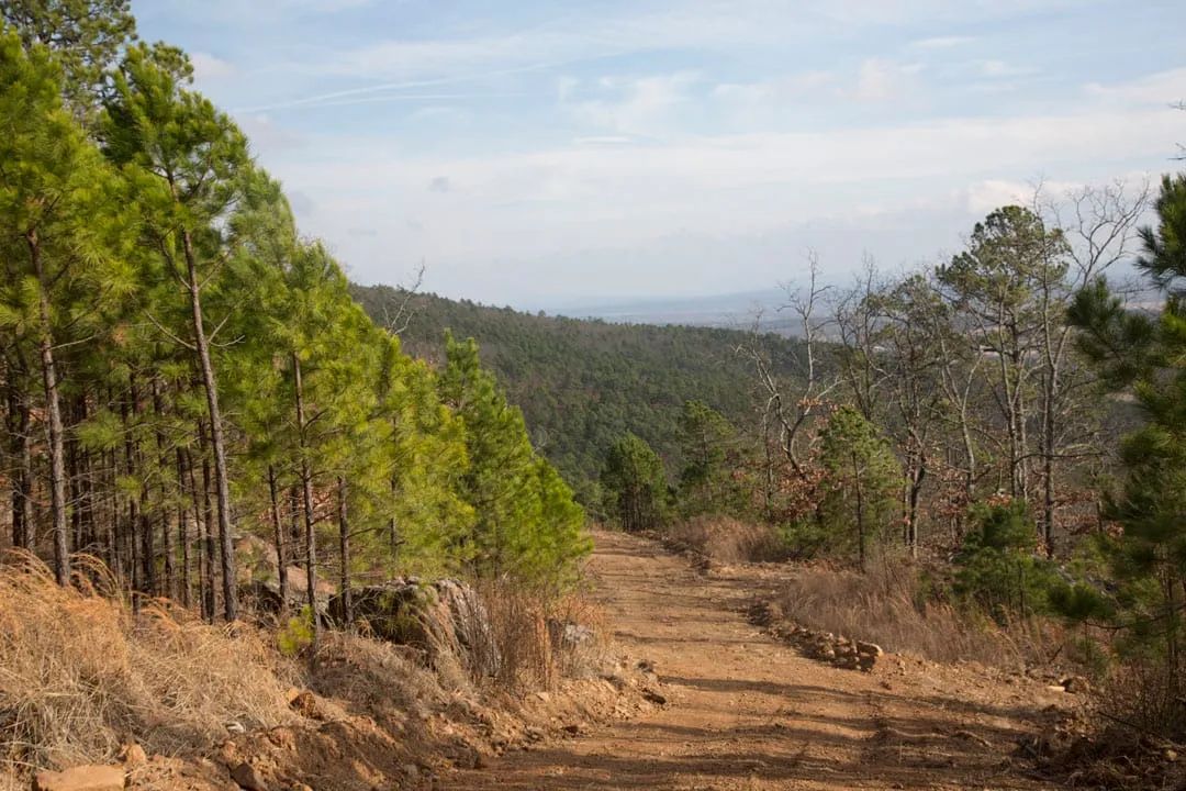 Decorative background for Stone Creek Phase III Tract 90 image 7