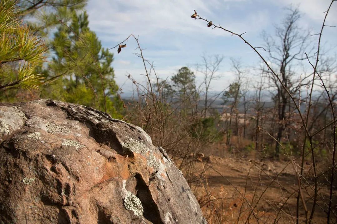 Decorative background for Stone Creek Phase III Tract 90 image 8