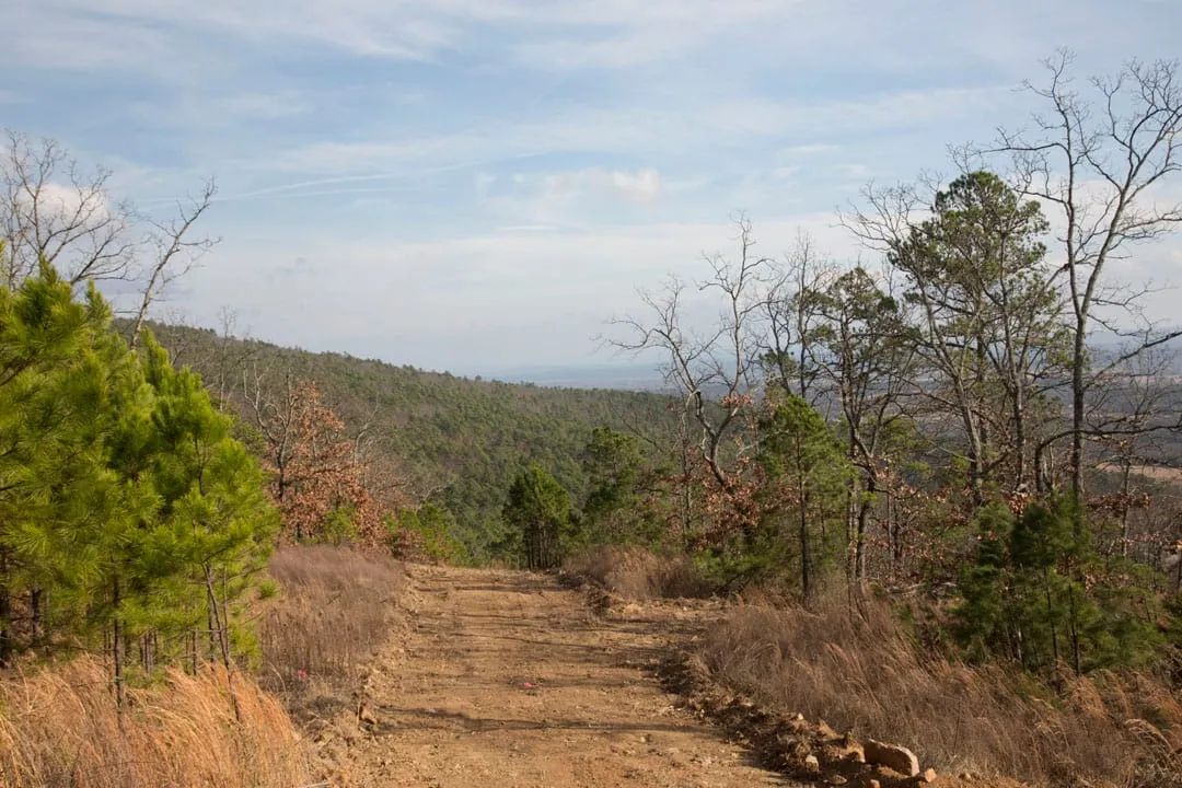 Decorative background for Stone Creek Phase III Tract 90 image 9