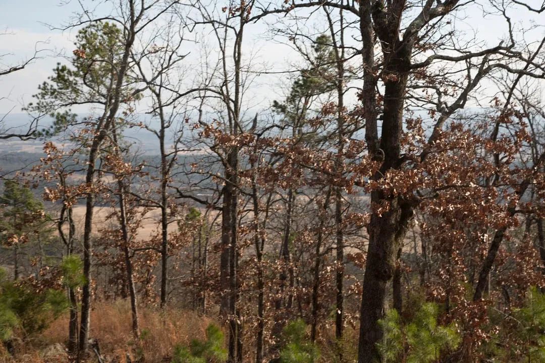 Decorative background for Stone Creek Phase III Tract 90 image 10