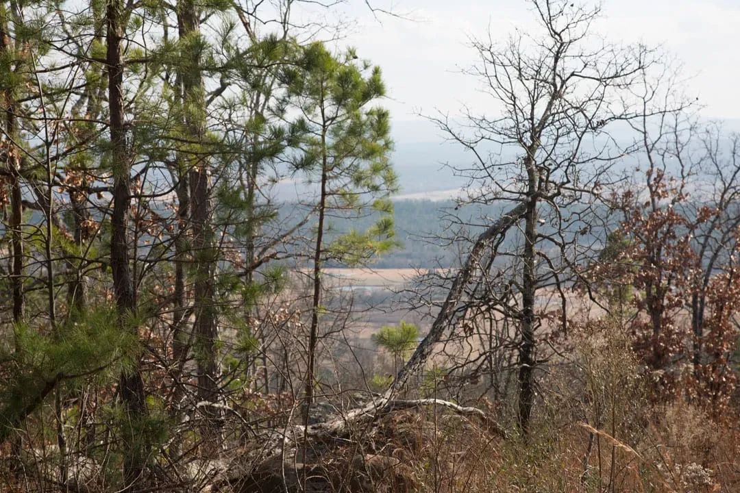 Decorative background for Stone Creek Phase III Tract 90 image 11