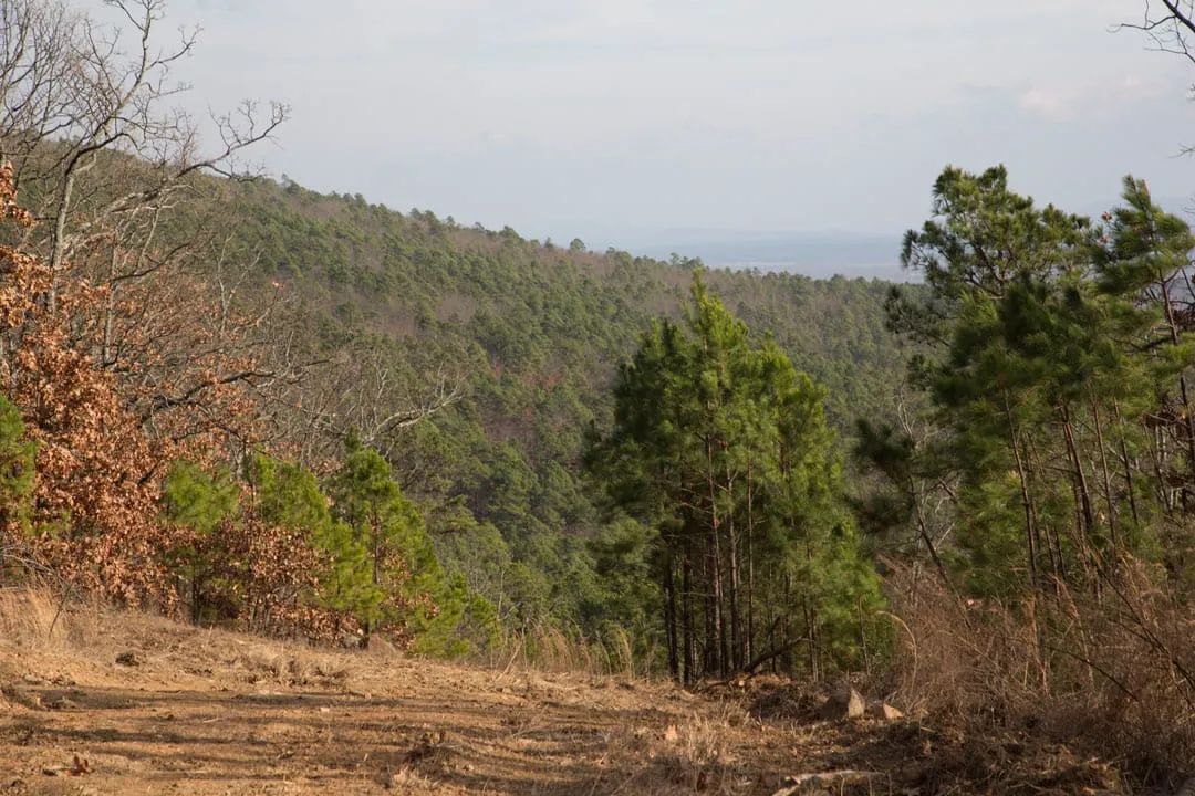 Decorative background for Stone Creek Phase III Tract 90 image 12
