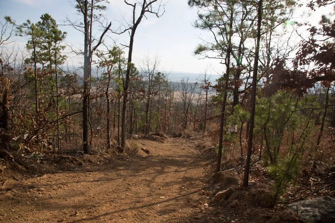 Decorative background for Stone Creek Phase III Tract 90 image 13