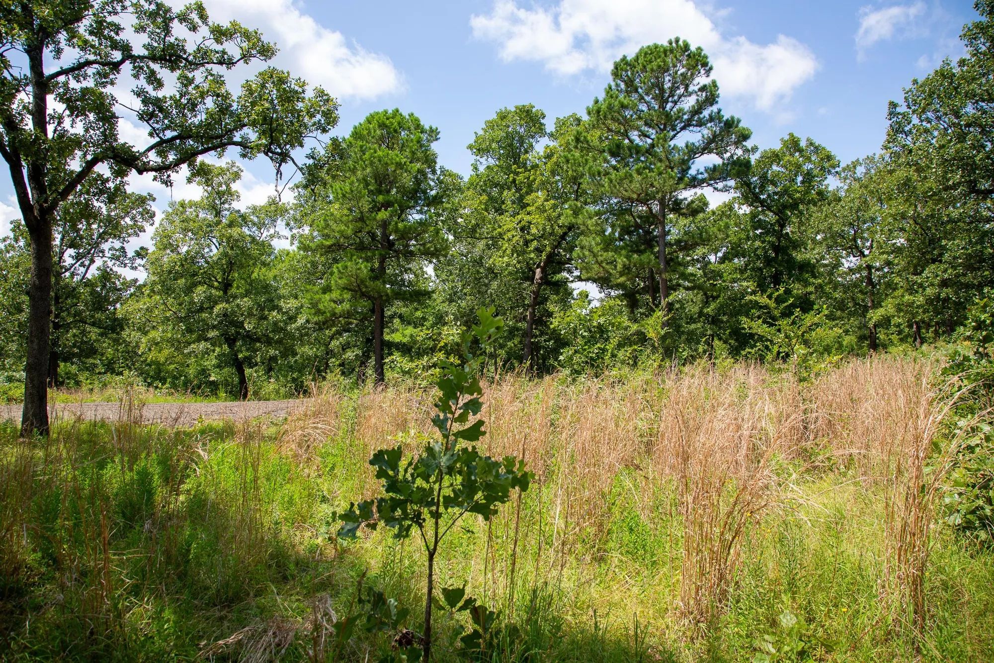 Tyler Stone Ranch Tract 41 in Le Flore County, OK