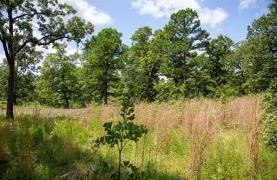 Tyler Stone Ranch Tract 41