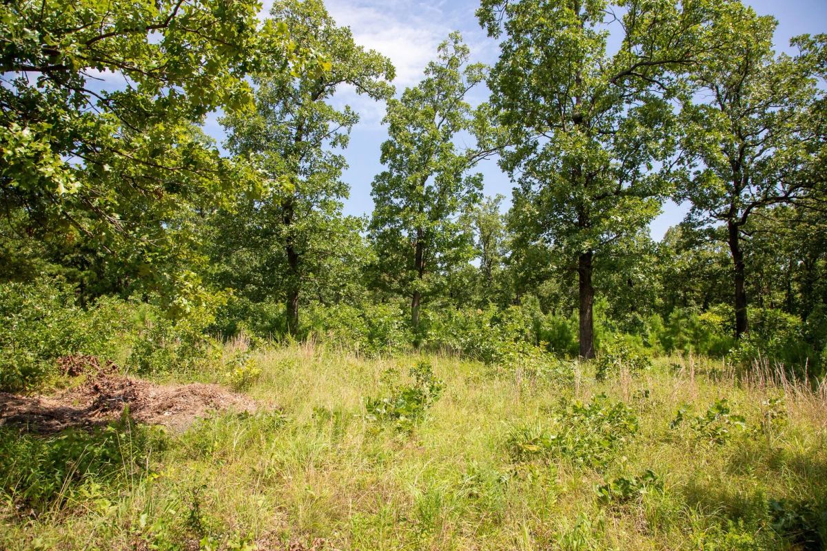 Tyler Stone Ranch Tract 41 - Image 2