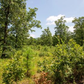 Tyler Stone Ranch Tract 41 in Le Flore County, OK