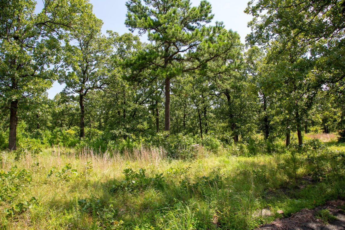 Decorative background for Tyler Stone Ranch Tract 41 image 5