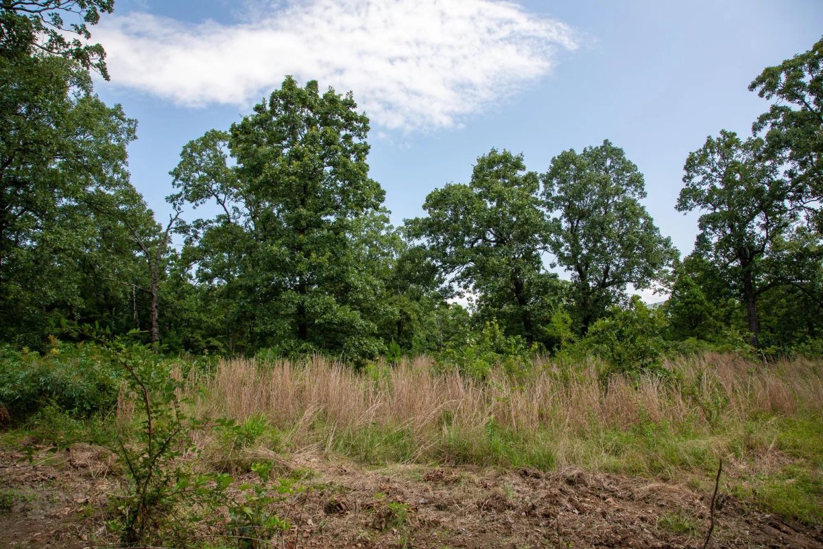 Decorative background for Tyler Stone Ranch Tract 41 image 8