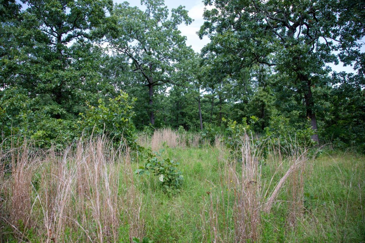 Decorative background for Tyler Stone Ranch Tract 41 image 10