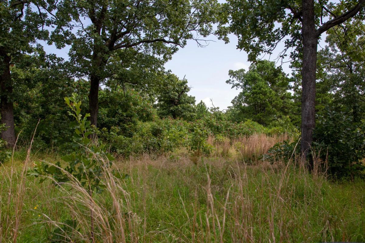 Decorative background for Tyler Stone Ranch Tract 41 image 11