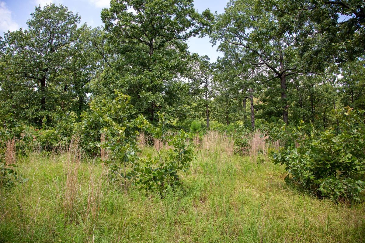 Decorative background for Tyler Stone Ranch Tract 41 image 12