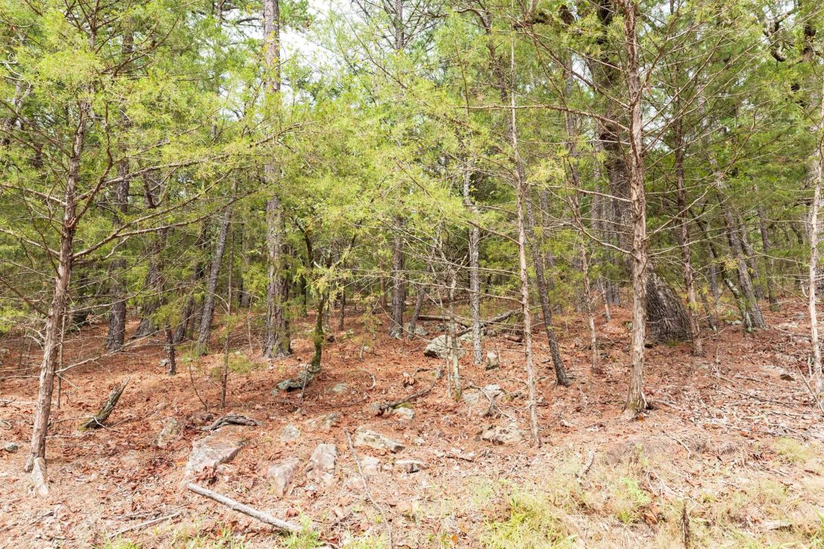 Stone Bridge Phase V Tract 360 - Image 2