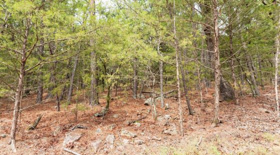 Stone Bridge Phase V Tract 360 in Latimer County, OK
