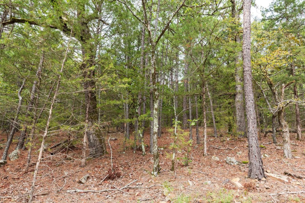 Stone Bridge Phase V Tract 360 - Image 3