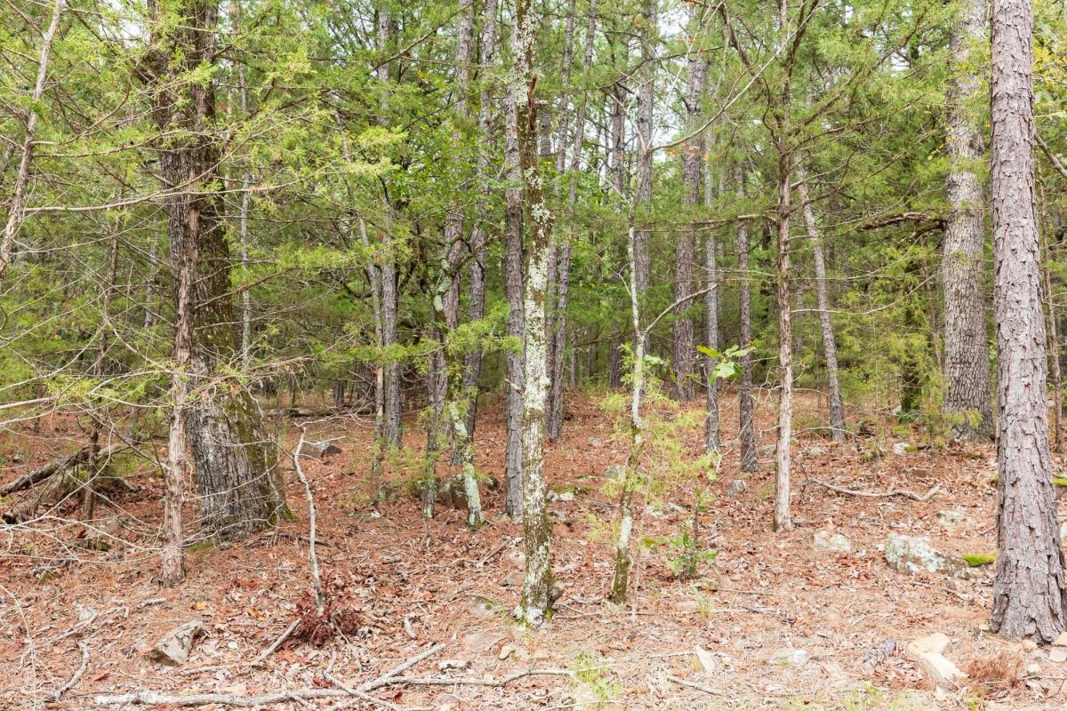 Stone Bridge Phase V Tract 360 - Image 4