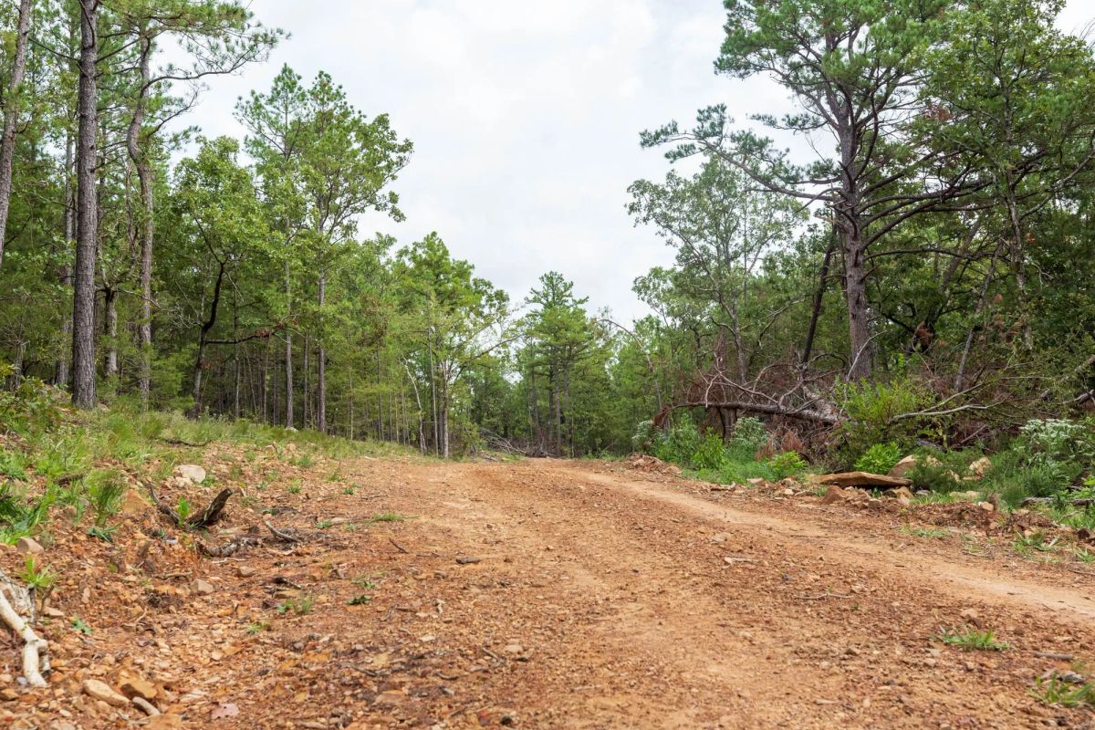 Decorative background for Stone Bridge Phase V Tract 360 image 8